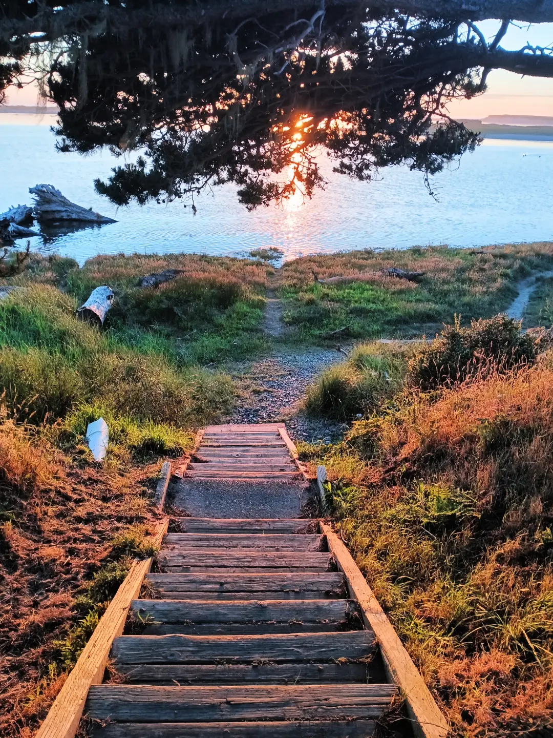 Wooden stairs leading down to a calm bay at sunset on the Oregon coast